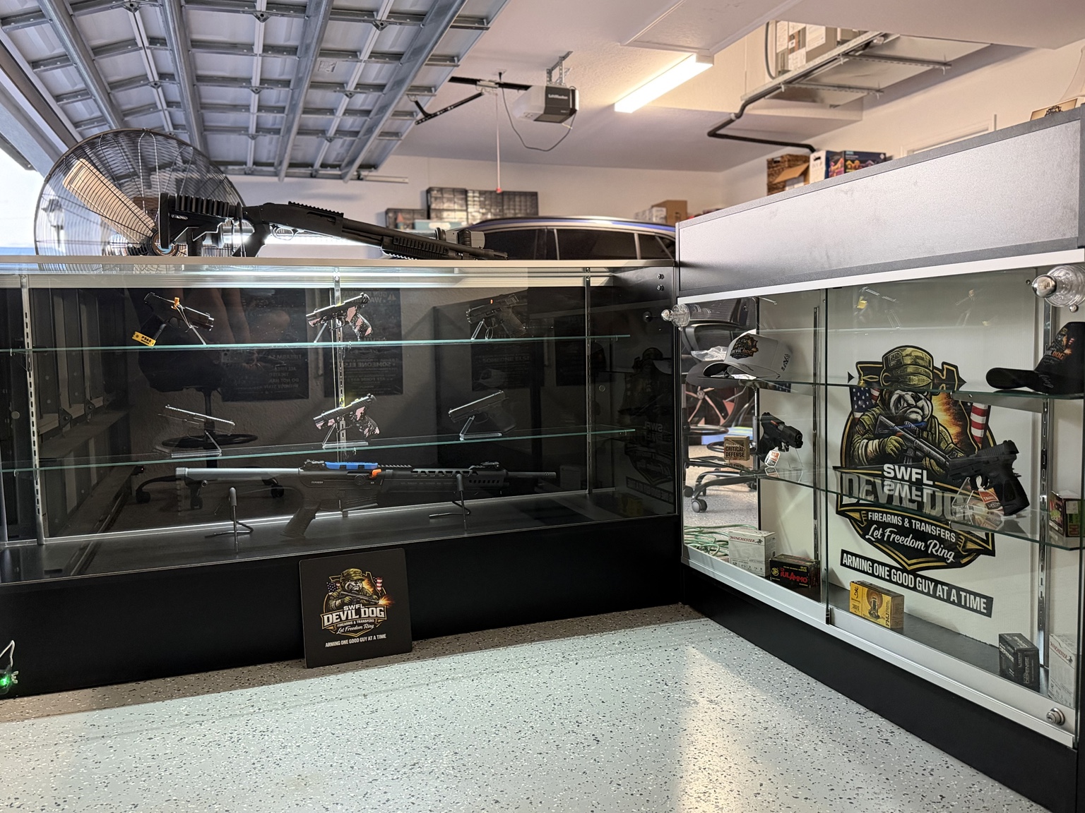 Handgun and rifle display case